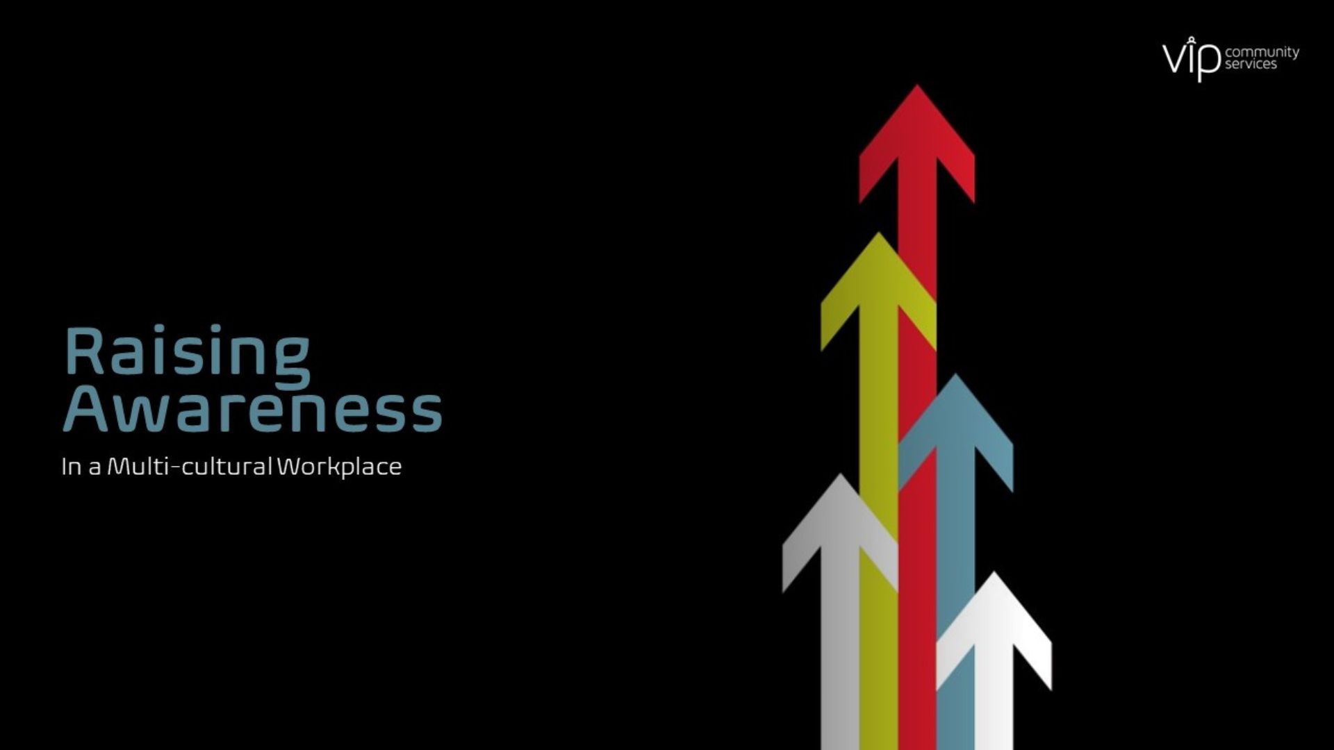 Raising Awareness in a Multicultural Workplace (HFHP)