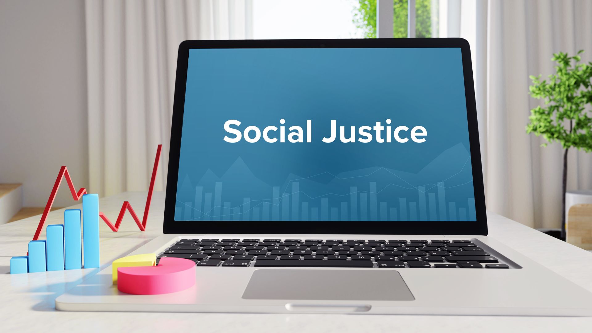 The Race to Social Justice (HFHP)